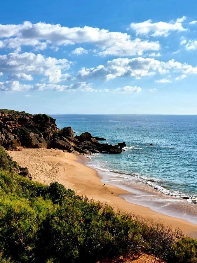 El Arrecife Conil De La Frontera