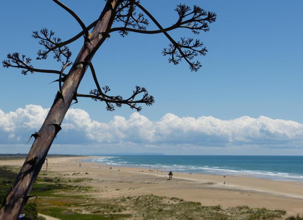 El Arrecife Apartamento Conil De La Frontera